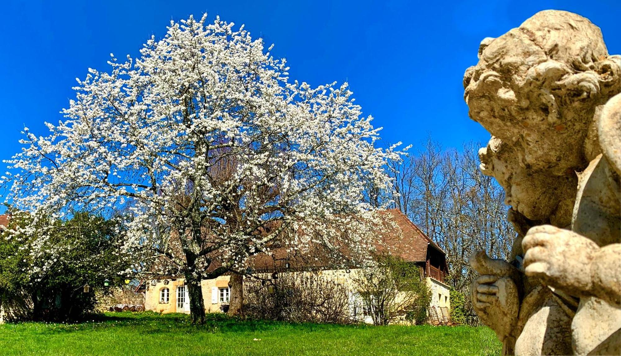 Gites Sibemol Simeyrols Экстерьер фото